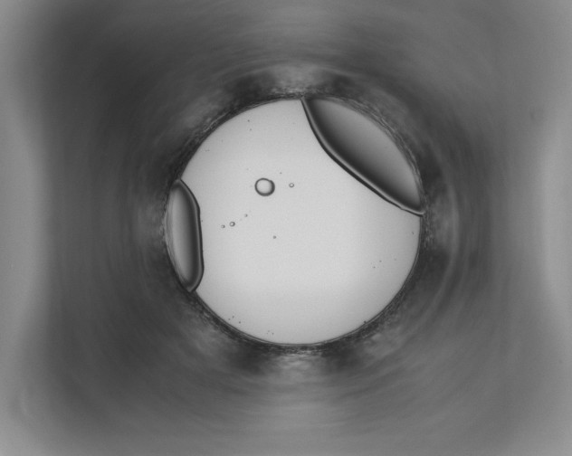 X0000111490505200908041145