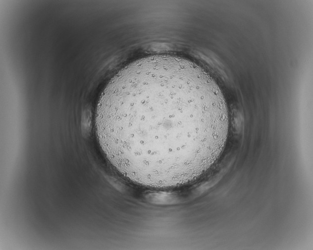 X0000111490507200908041145