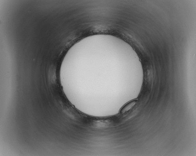 X0000111490508200908041145