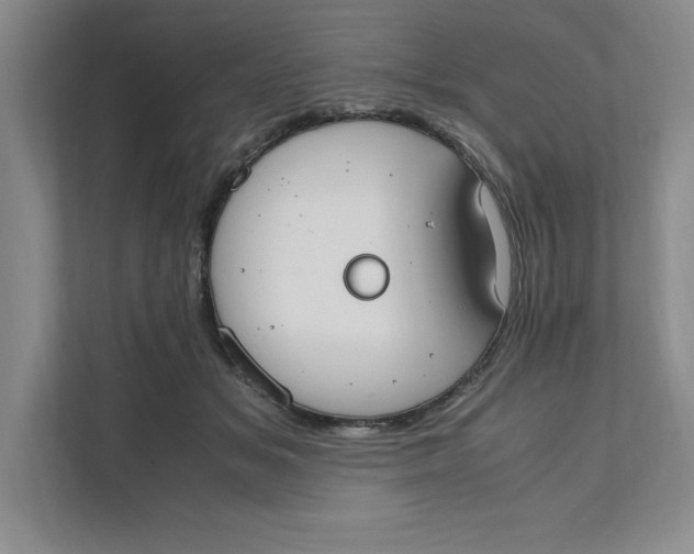 X0000111490509200908041145