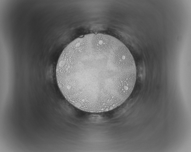 X0000111490519200908041145