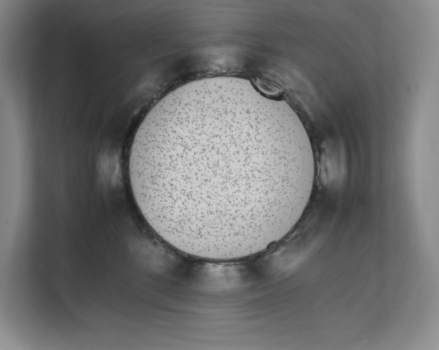 X0000111490520200908041145