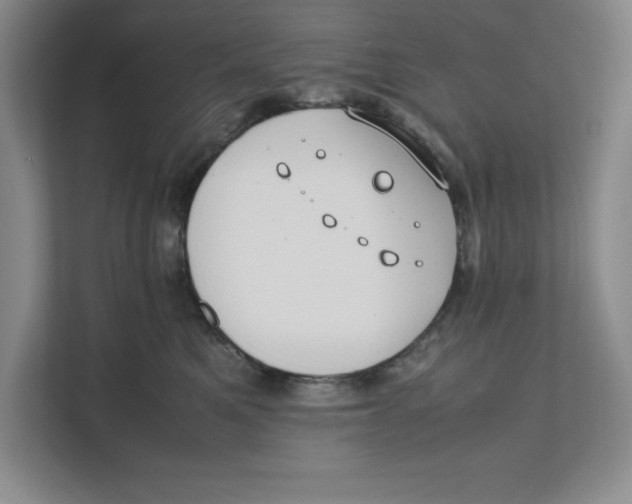 X0000111490521200908041145