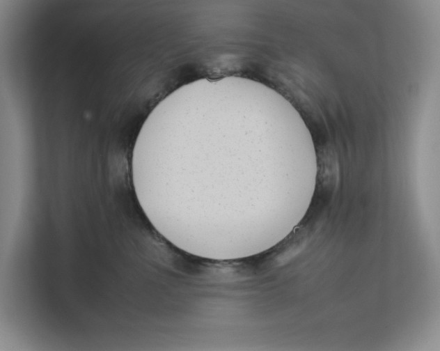 X0000111490523200908041145