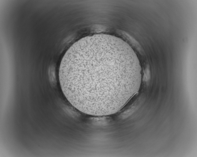 X0000111490524200908041145