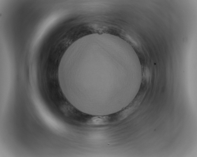 X0000111490526200908041144