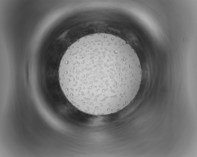 X0000111490527200908041144