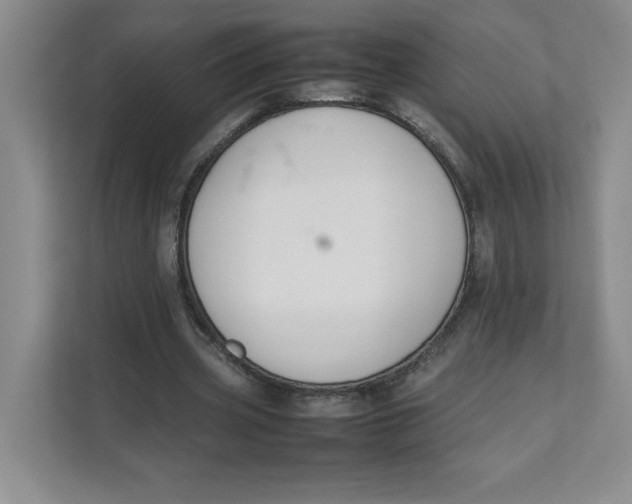 X0000111490533200908041144