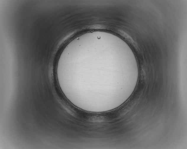 X0000111490535200908041144