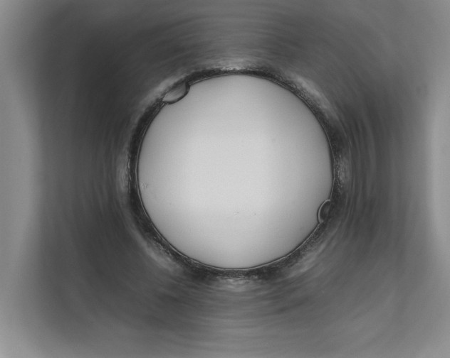 X0000111490540200908041144