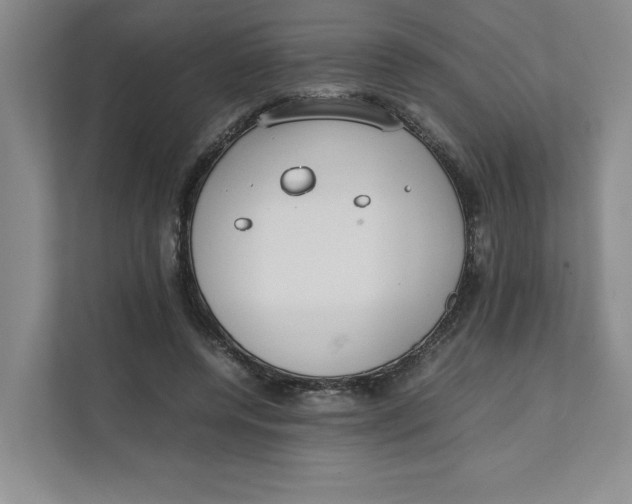 X0000111490544200908041144