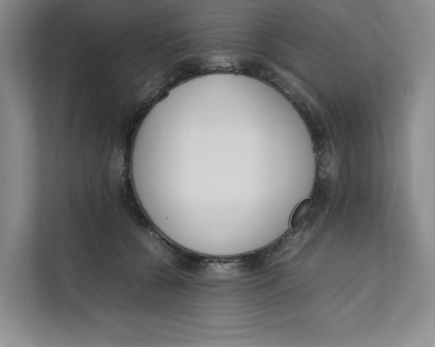 X0000111490560200908041144