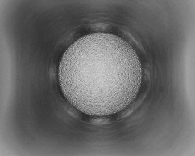 X0000111490561200908041144