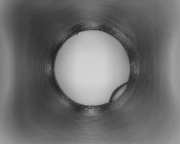 X0000111490564200908041144