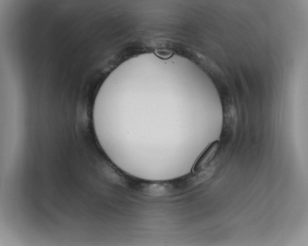 X0000111490566200908041144
