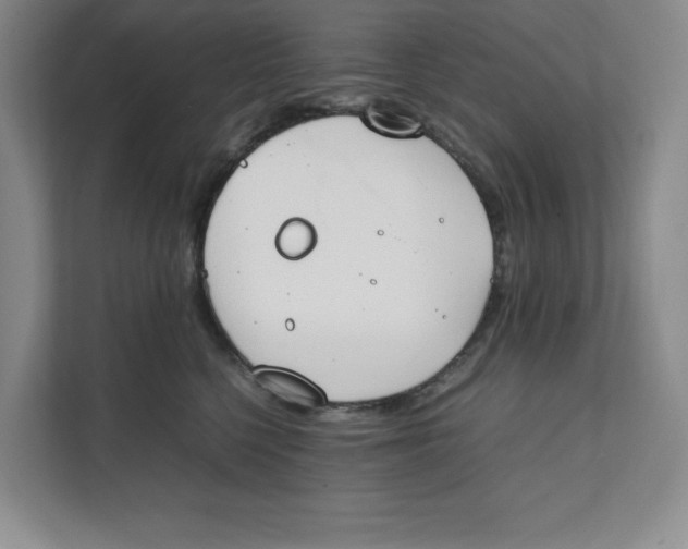 X0000111490568200908041144