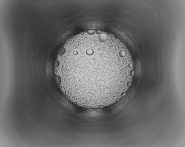 X0000111490569200908041144