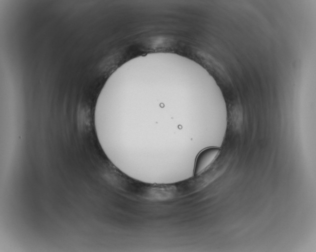 X0000111490571200908041144