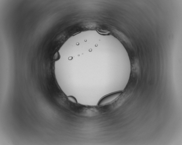 X0000111490572200908041144