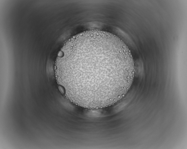 X0000111490573200908041144