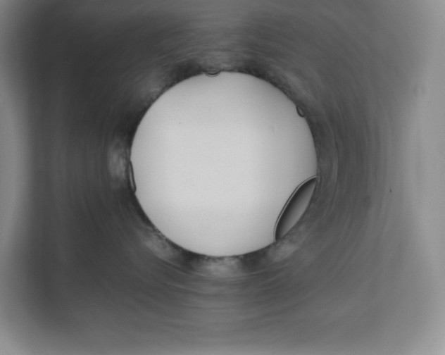 X0000111490576200908041144