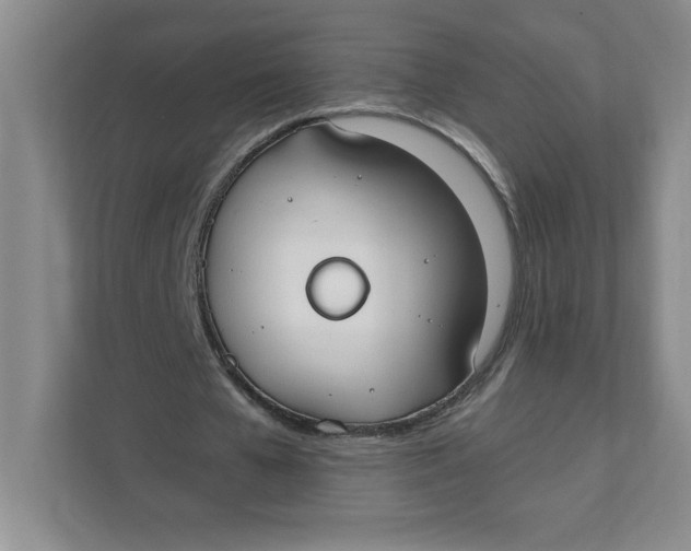 X0000111490577200908041144