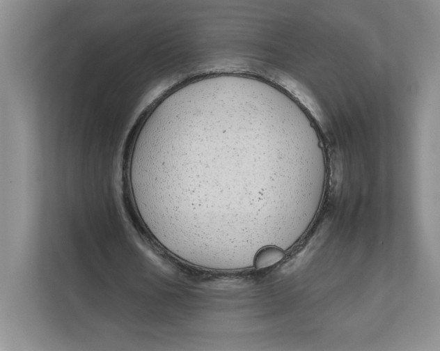 X0000111490578200908041144