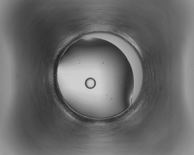 X0000111490581200908041144
