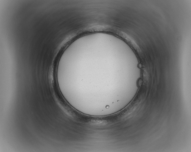 X0000111490582200908041144