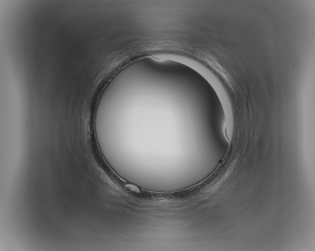 X0000111490585200908041144