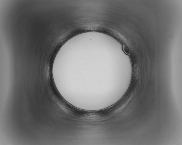 X0000111490589200908041144