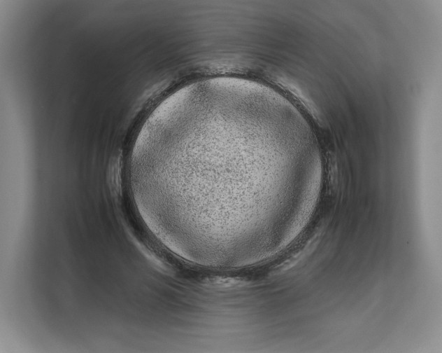 X0000111490590200908041144