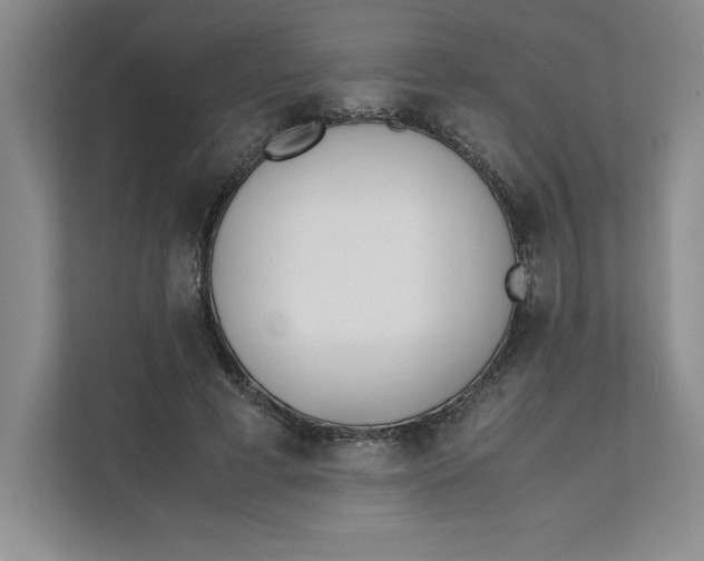 X0000111490593200908041144