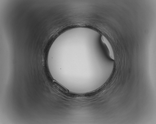 X0000111490595200908041144