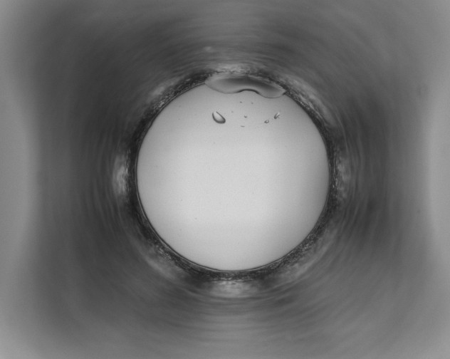 X0000111490596200908041144