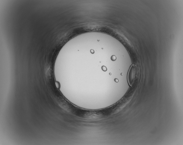 X0000111490597200908041144