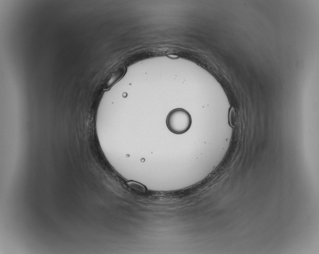 X0000111490601200908041144