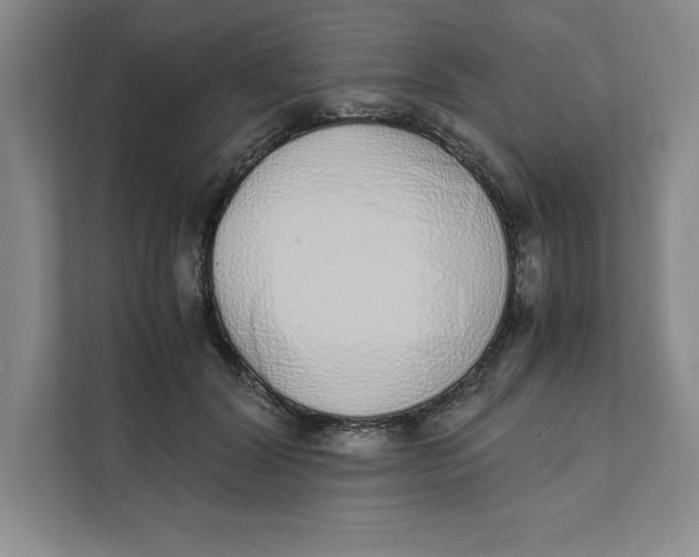 X0000111490604200908041143