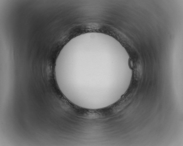 X0000111490608200908041143