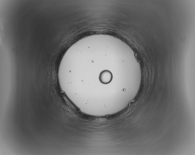 X0000111490609200908041143