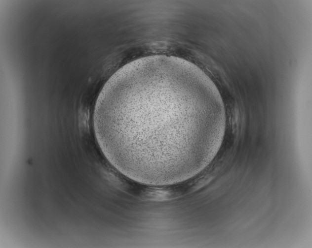 X0000111490610200908041143