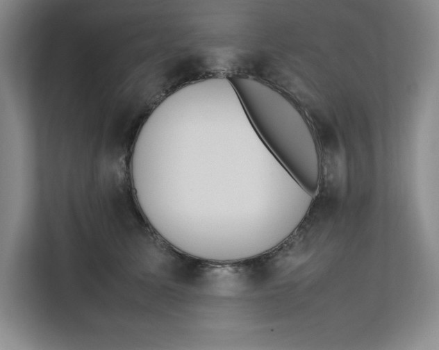 X0000111490611200908041143