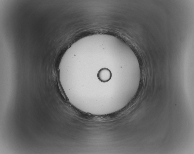 X0000111490613200908041143