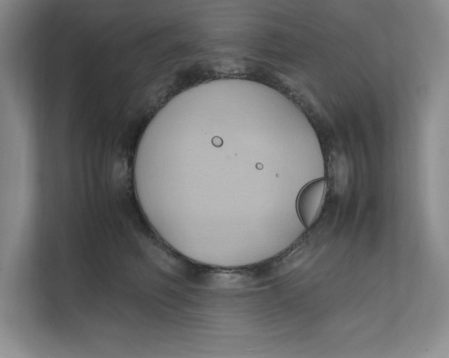 X0000111490614200908041143