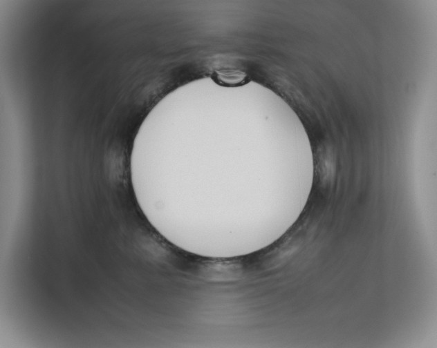 X0000111490619200908041143