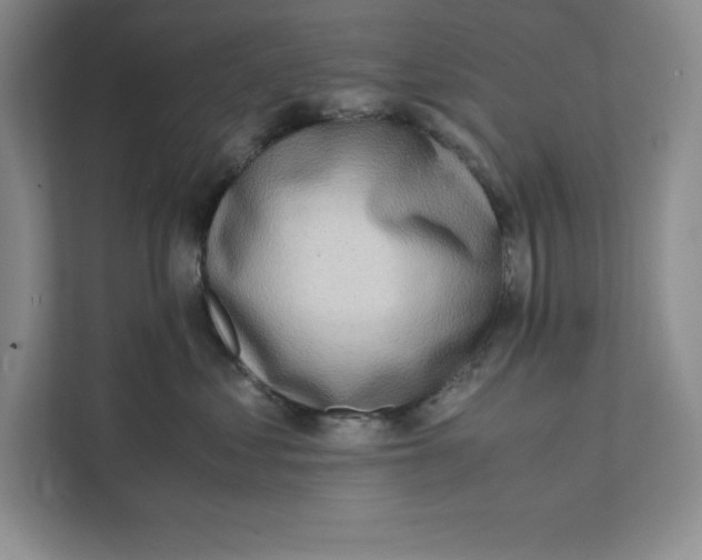 X0000111490621200908041143