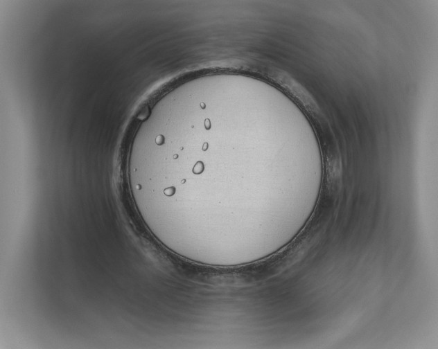 X0000111490628200908041143