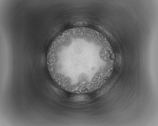 X0000111490659200908041143