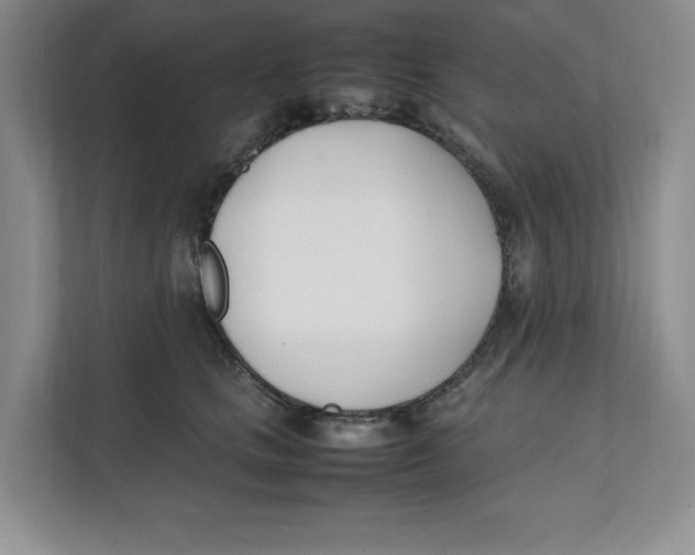 X0000111490661200908041143