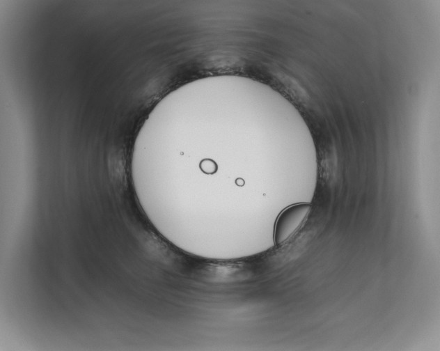 X0000111490662200908041143